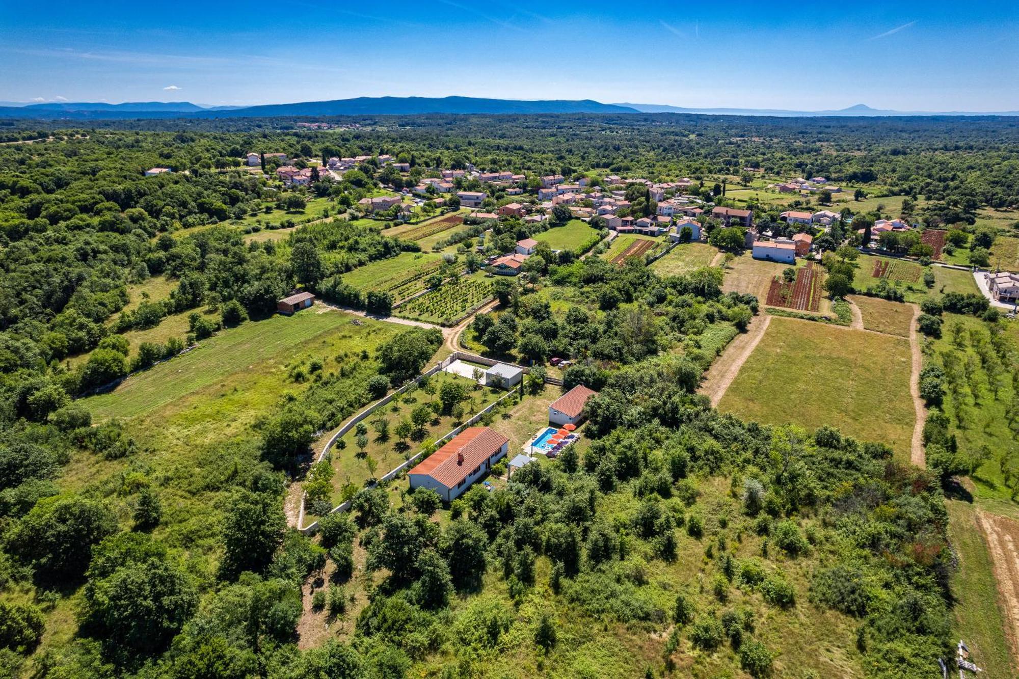 Vilă Mina - *